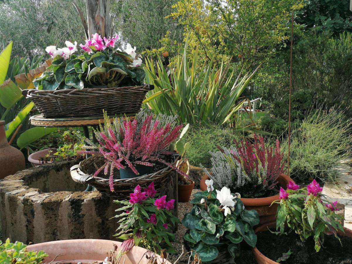 Готель Il Giardino Del Te Барлетта Екстер'єр фото