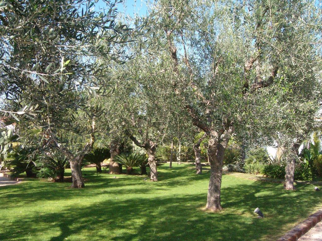 Готель Il Giardino Del Te Барлетта Екстер'єр фото